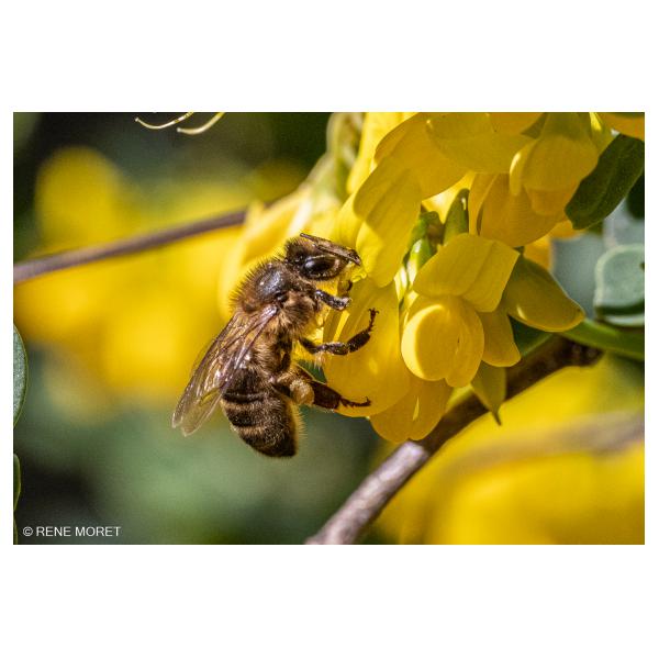 PHOTO84, CLUB, 84 , LUBERON